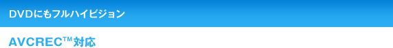 DVDɂtnCrW AVCRECTMΉ
