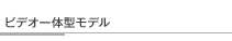 �r�f�I��̌^���f��