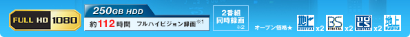 FULL HD 1080�@250GB HDD ��112���� �t���n�C�r�W�����^�恦1�@2�ԑg�����^�恦2�@���I�[�v�����i
