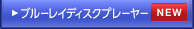 �u���[���C�f�B�X�N�v���[���[