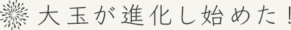 大玉が進化し始めた!