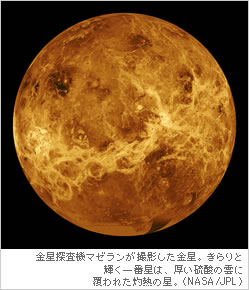 金星探査機マゼランが撮影した金星。きらりと輝く一番星は、厚い硫酸の雲に覆われた灼熱の星。（NASA/JPL）