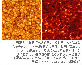 可視光・磁場望遠鏡で見た、粒状班。左が光球、右が光球より上空の彩層での画像。動画で見ると、ぐつぐつ煮立っているような対流運動の様子がよくわかる。粒状班の間に光る明るい点に強い磁場がある。これが2千キロ上空の熱いコロナに影響を与えているらしい。（画像1）