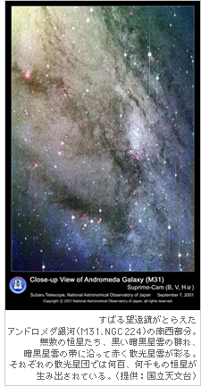 すばる望遠鏡がとらえたアンドロメダ銀河 (M31、NGC224)の南西部分。無数の恒星たち、黒い暗黒星雲の群れ、暗黒星雲の帯に沿って赤く散光星雲が彩る。それぞれの散光星団では何百、何千もの恒星が生み出されている。（提供：国立天文台）