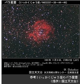 参考：いっかくじゅう座のバラ星雲（提供：国立天文台）