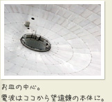 お皿の中心。 電波はココから望遠鏡の本体に。
