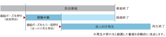 }Fer̎ɁAerŔuԑg|[Yv{^ƁAʂꎞ~Bɘ^悪X^[g܂Bx{^ƁA~ǂĐB@ĐIƘ^悵ԑgIɏ܂B