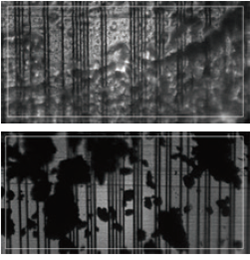読み取り可能な汚れたスケール