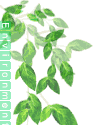 �C���[�W