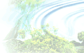 �C���[�W