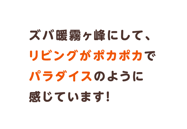 「ズバ暖霧ヶ峰にして、リビングがポカポカで、パラダイスのように感じています!」