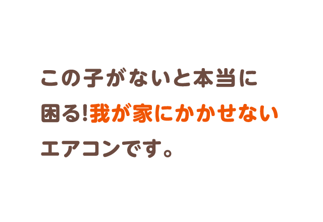 この子がないと本当に困る！我が家にかかせないエアコンです。