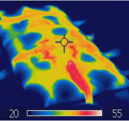 足元のあたためで快眠