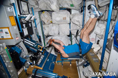 ISSの運動器具の一つ、AREDを使って真剣に運動を行う。（提供：JAXA/NASA）