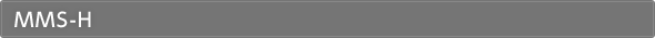 MMS-H