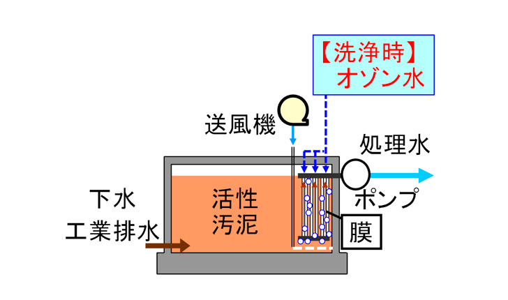 図1.　オゾン水で洗浄する浸漬型膜分離バイオリアクター（Eco-MBR）