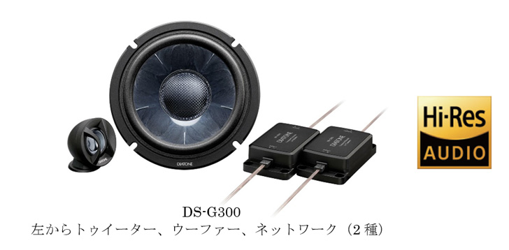 DIATONE   DS-G300