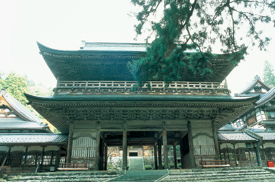 豊かなこころを育む、源泉？