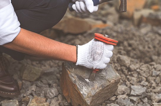 いきなり発見で、大興奮！