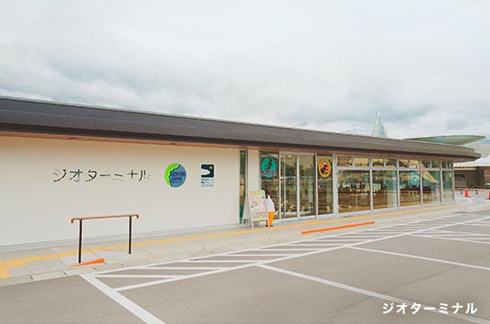 レアな恐竜グッズも満載！