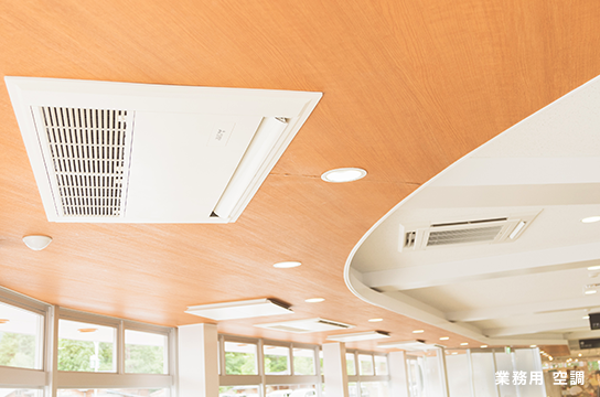 レアな恐竜グッズも満載！