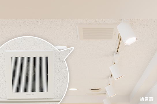 レアな恐竜グッズも満載！