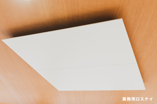 レアな恐竜グッズも満載！