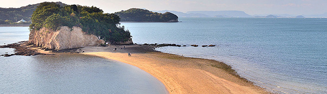 地域ビジネス活動：四国支社