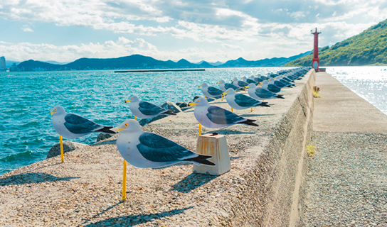 「カモメの駐車場」／木村 崇人作