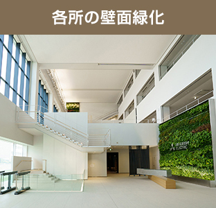 各所の壁面緑化