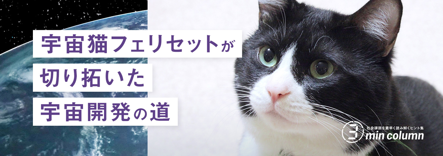 社会の課題を素早く読み解くヒント集 3min column 宇宙猫フェリセットが切り拓いた宇宙開発の道