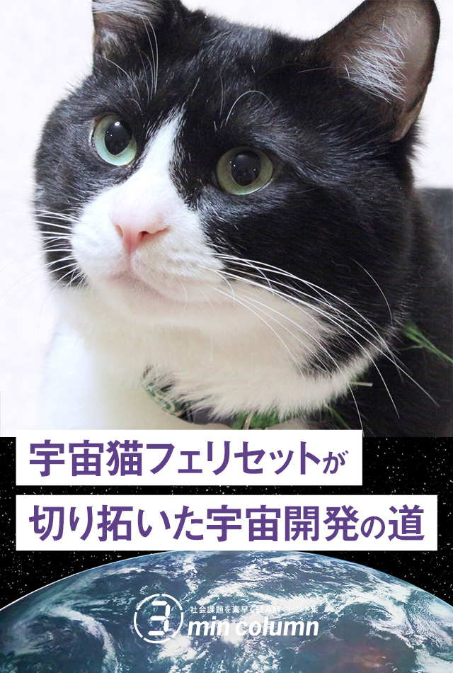 社会の課題を素早く読み解くヒント集 3min column 宇宙猫フェリセットが切り拓いた宇宙開発の道