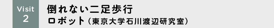 Visit2 倒れない二足歩行ロボット(東京大学石川渡辺研究室)