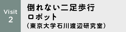 Visit2 倒れない二足歩行ロボット(東京大学石川渡辺研究室)