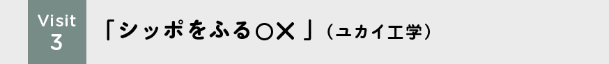 Visit3 「シッポをふる○×」(ユカイ工学)