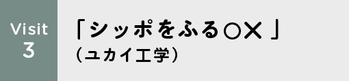 Visit3 「シッポをふる○×」(ユカイ工学)