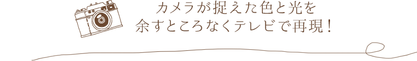 カメラが捉えた色と光を余すところなくテレビで再現!