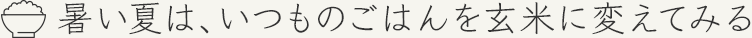 暑い夏は、いつものごはんを玄米に変えてみる