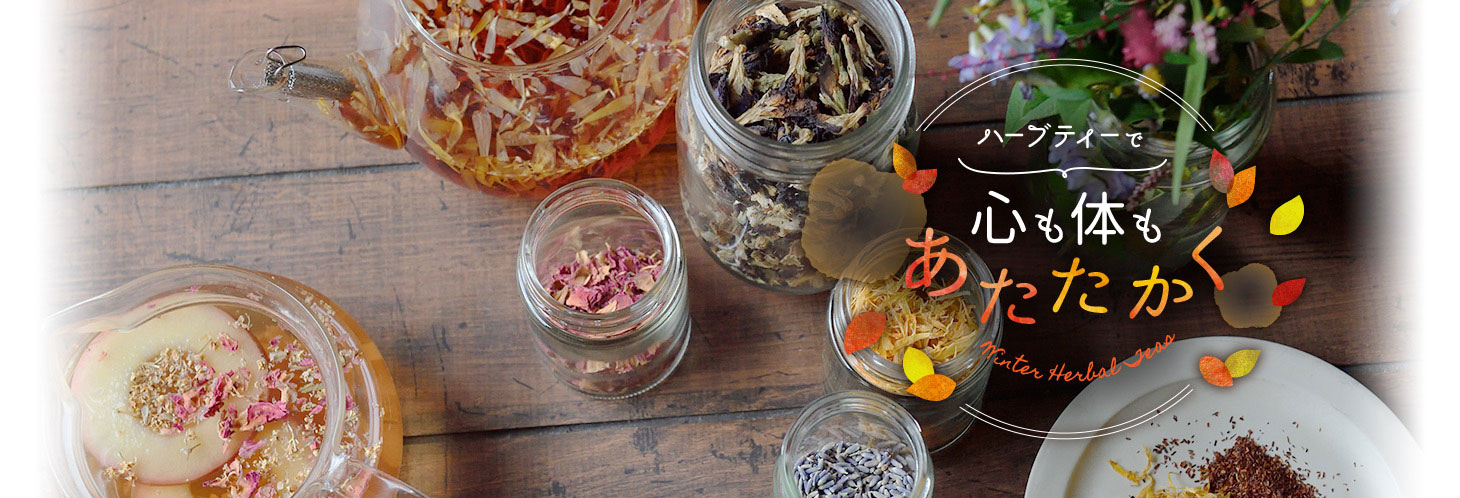 ハーブティーで心も体もあたたかく