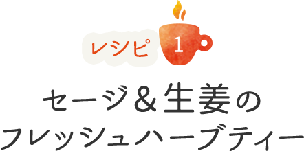 レシピ1 セージ＆生姜のフレッシュハーブティー