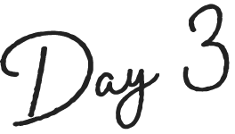 Day 3