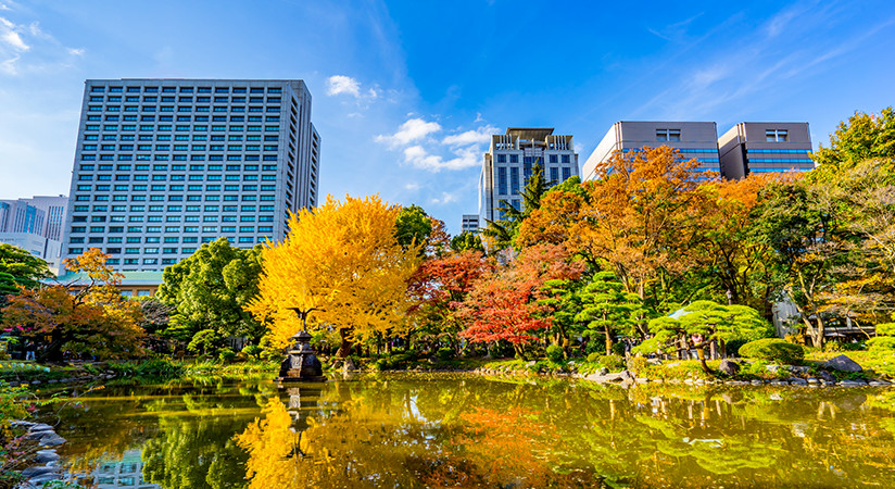 三菱一号館美術館
