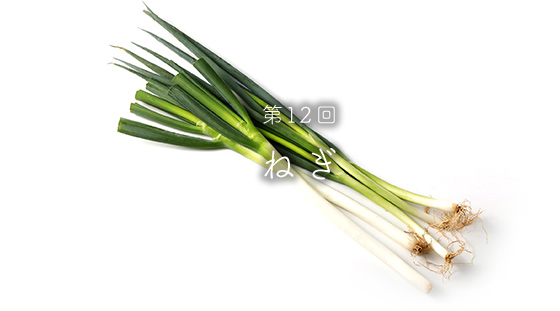 第12回ねぎ