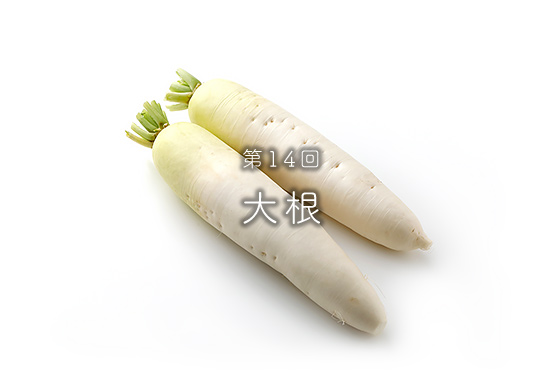 第14回大根