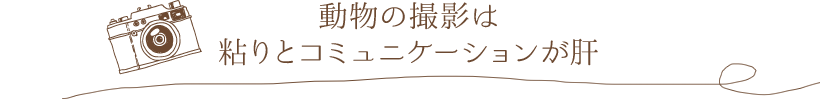 動物の撮影は粘りとコミュニケーションが肝
