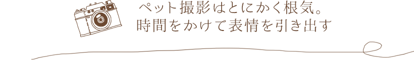 ペット撮影はとにかく根気。時間をかけて表情を引き出す
