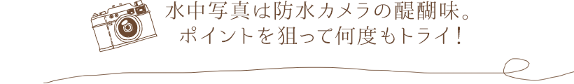 水中写真は防水カメラの醍醐味。ポイントを狙って何度もトライ！