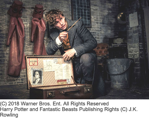 (C) 2018 Warner Bros. Ent. All Rights Reserved Harry Potter and Fantastic Beasts Publishing Rights (C) J.K. Rowling