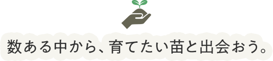 数ある中から、育てたい苗と出会おう。