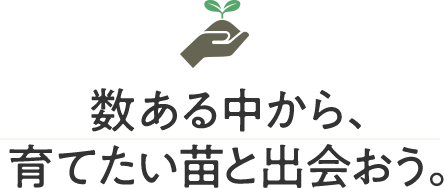 数ある中から、育てたい苗と出会おう。